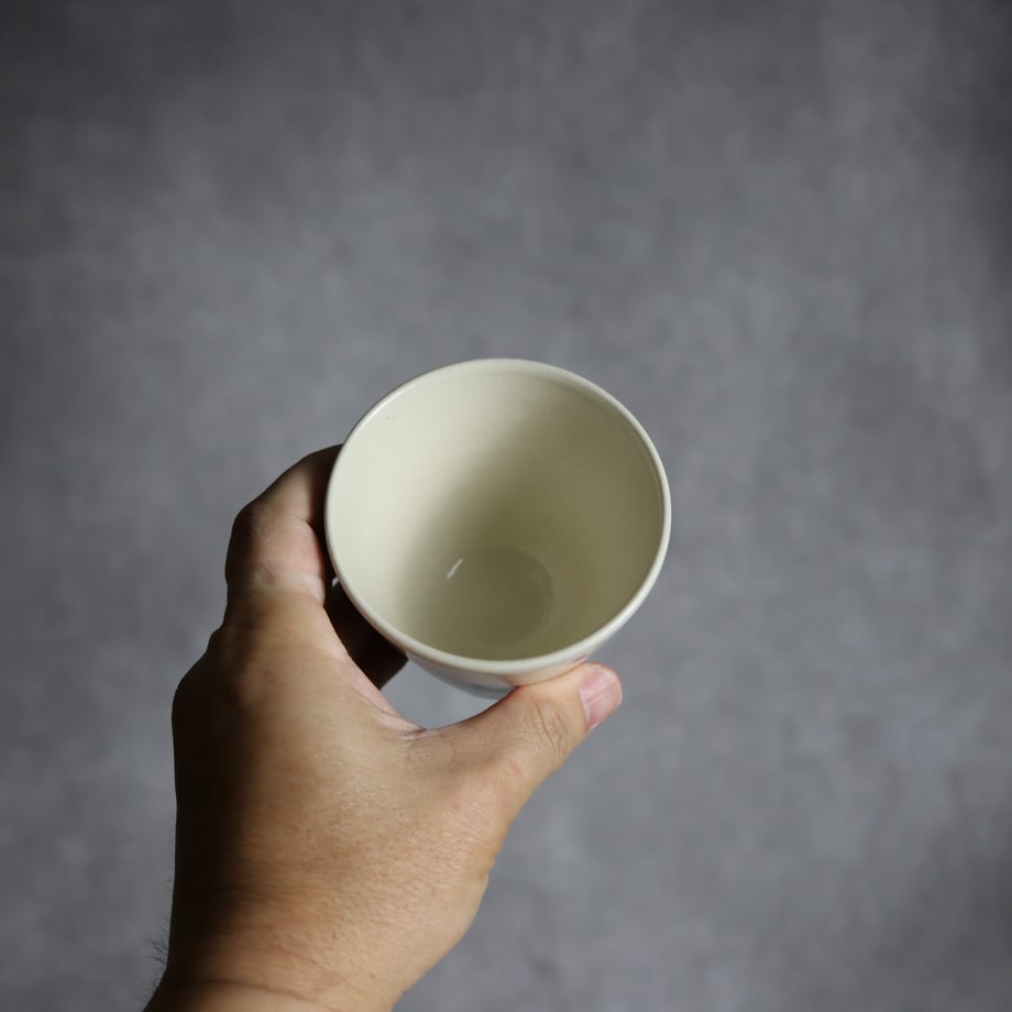 69cf31111052510044565042