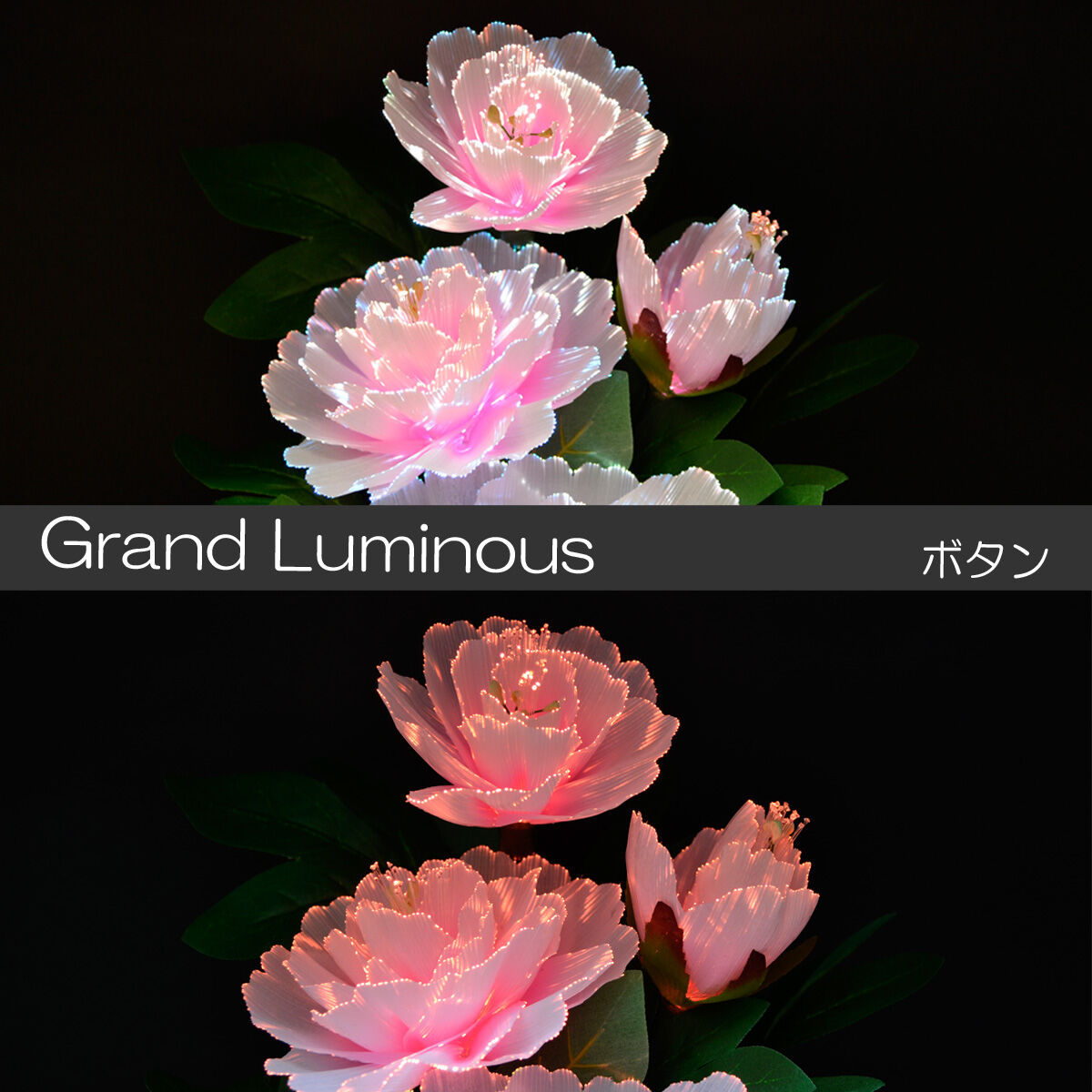 グランドルミナス 電源コード式 06 ボタン 高さ40cm LED 電源