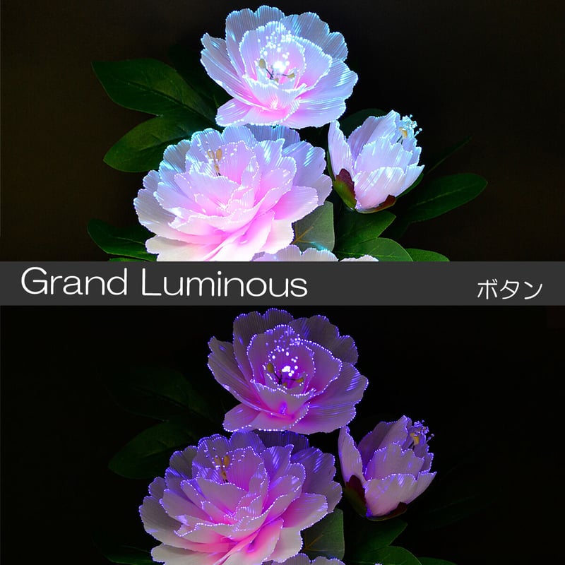 グランドルミナス 電源コード式 06 ボタン 高さ40cm LED 電源