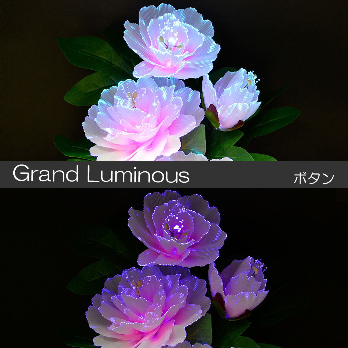 グランドルミナス 電源コード式 06 ボタン 高さ40cm LED 電源