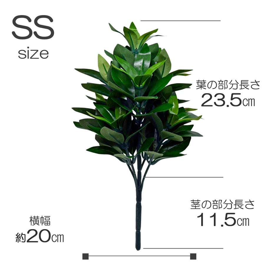60a898db1945c7184ddd177a