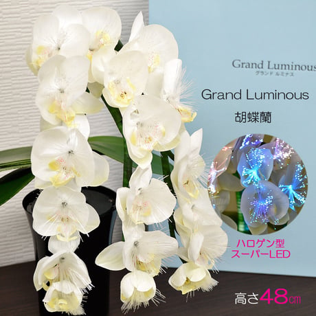 グランドルミナス 電源コード式 05 胡蝶蘭 高さ４８ｃｍ ＬＥＤ 盆提灯 盆ちょうちん 灯篭 造花