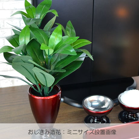 おしきみ造花 安定ゴム Sサイズ ２個セット 輪っか グラつき防止アイテム 創価学会用 人工しきみ 造花 樒 シキミ しきび SGI SOKA