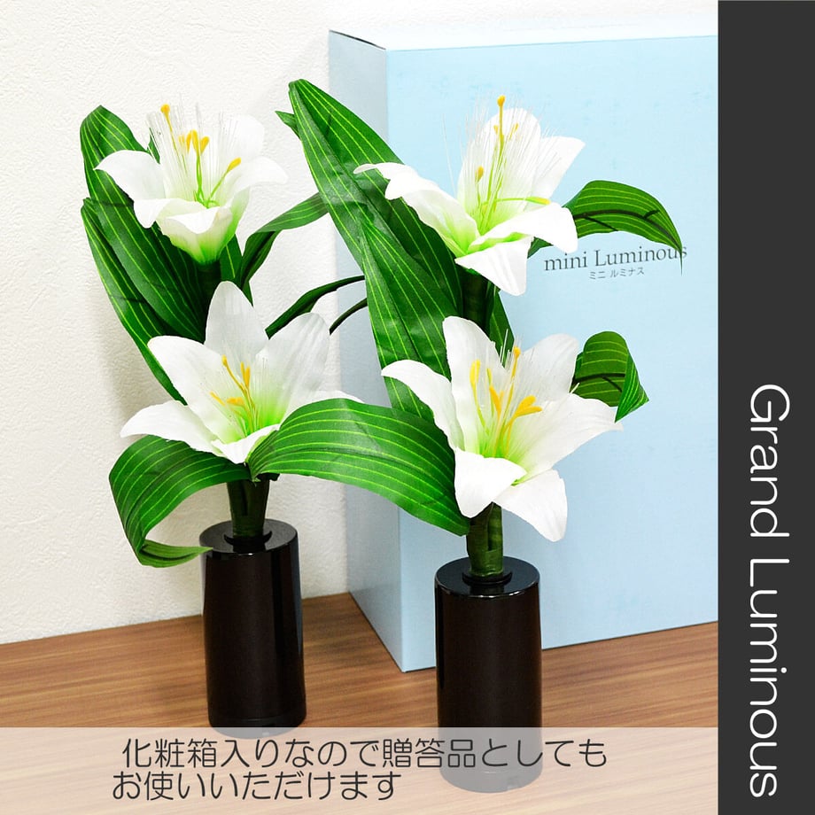 62202d612cf73d1dab4843a0