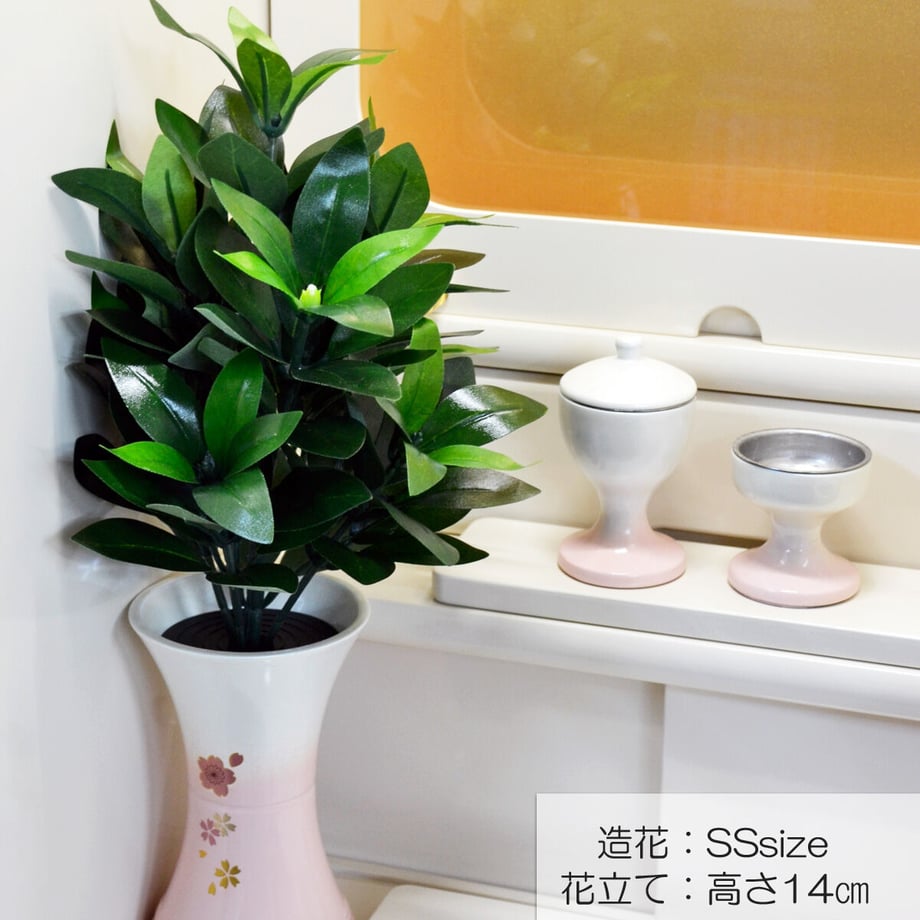 60a898db1945c7184ddd177a