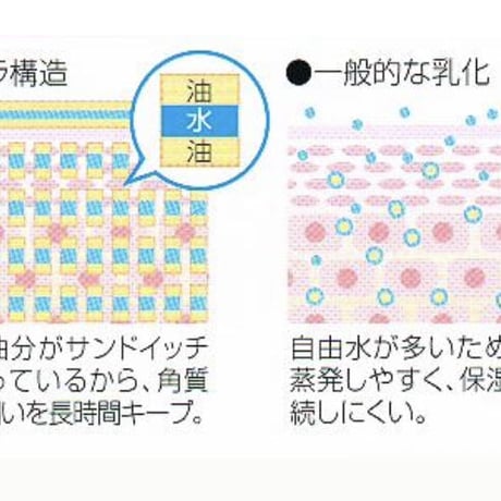 151【ココデヴァン　モイスチャライザーローション】保湿化粧水