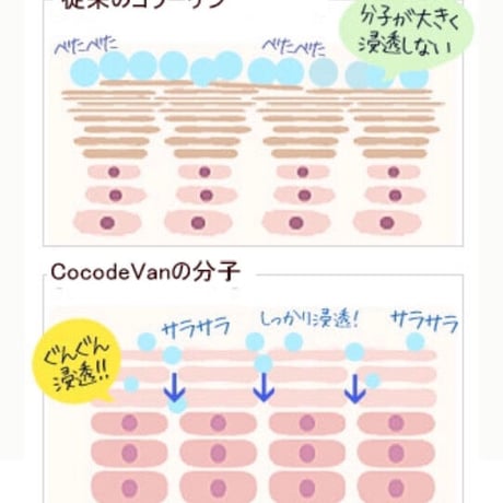 151【ココデヴァン　モイスチャライザーローション】保湿化粧水