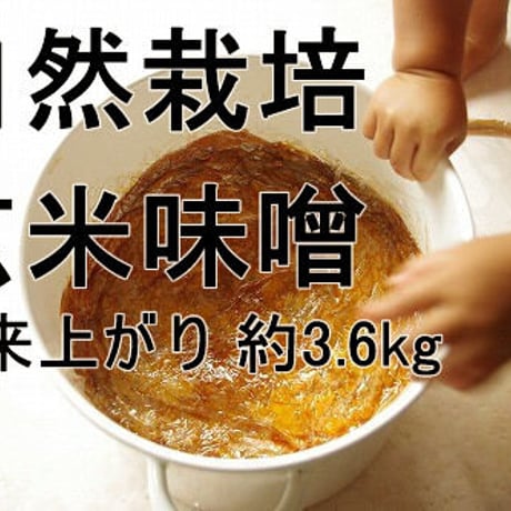 手作り味噌キット　自然栽培玄米味噌（出来上がり量3.6kg）