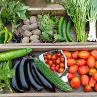 野菜セット Kサイズ
