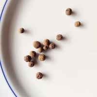 オーガニック・オールスパイス　1g（量り売り）