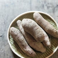 さつまいも ベニハルカ