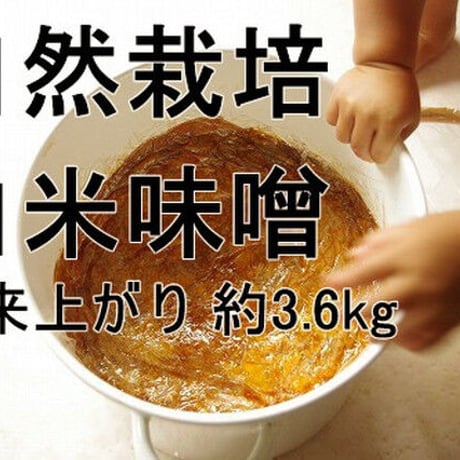 手作り味噌キット　自然栽培米味噌（出来上がり量3.6kg）