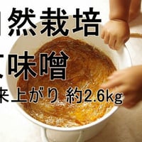 手作り味噌キット　自然栽培京風味噌（出来上がり量2.6kg）