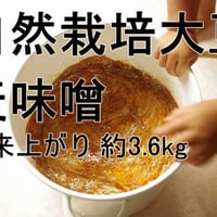 手作り味噌キット 自然栽培大豆の麦味噌（出来上がり量3.6kg）