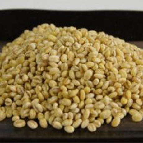 手作り味噌キット 自然栽培大豆の麦味噌（出来上がり量3.6kg）