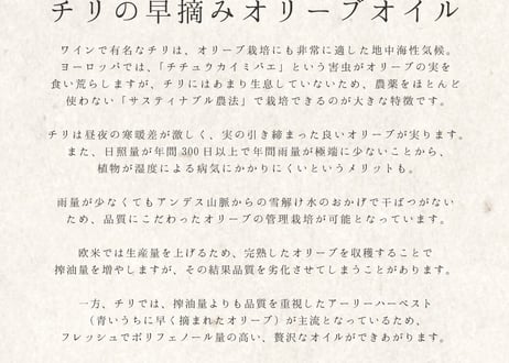 エキストラヴァージン・オリーブオイル 500ml（2025年産/ピクアル種）