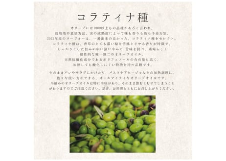 【特製ギフト箱にリボン】エクストラヴァージン・オリーブオイル 200ml （2023 コラティナ種）