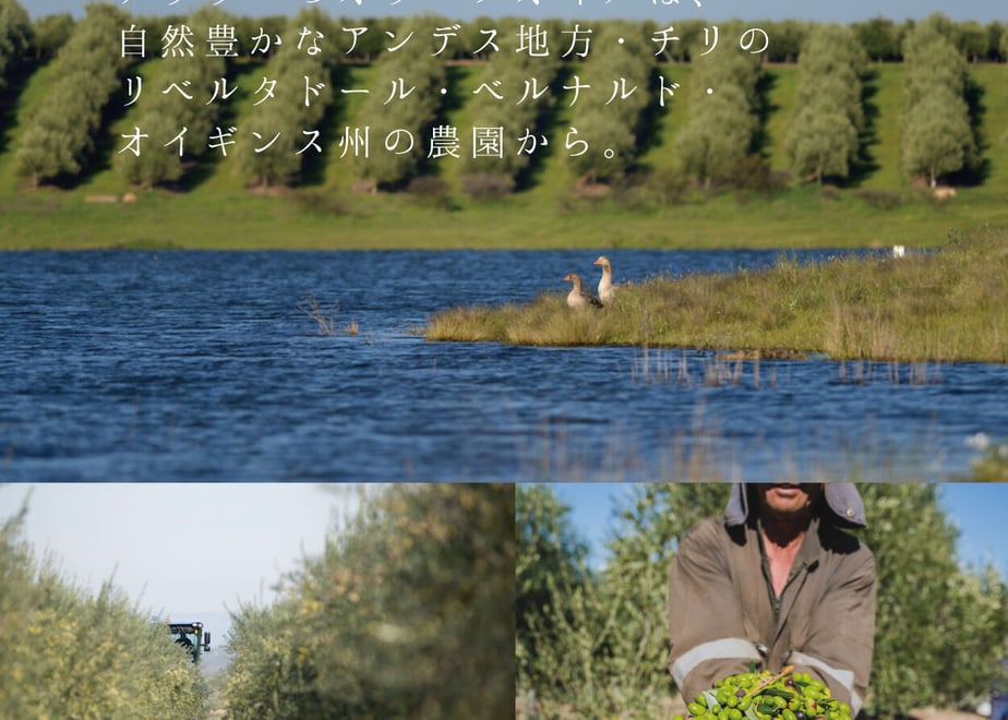 61380f5bacbcb00170d45942