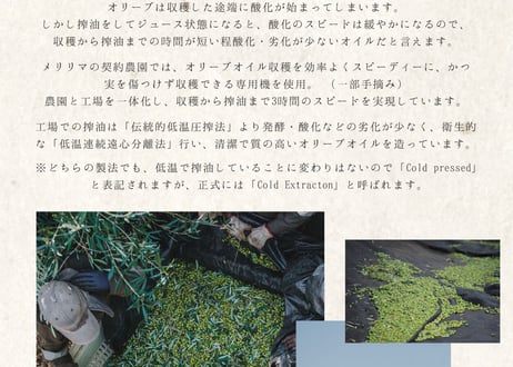 エキストラヴァージン・オリーブオイル 500ml（2025年産/ピクアル種）