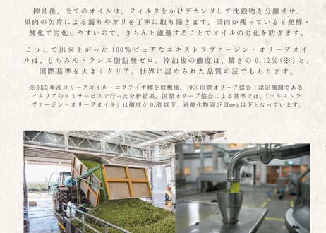 エキストラヴァージン・オリーブオイル 500ml（2025年産/ピクアル種）