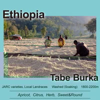 Ethiopia エチオピア / Tabe Burka タベ ブルカ