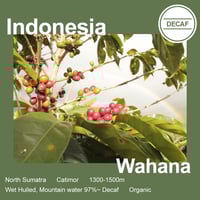 【Decaf デカフェ】Indonesia インドネシア / Wahana ワハナ デカフェ