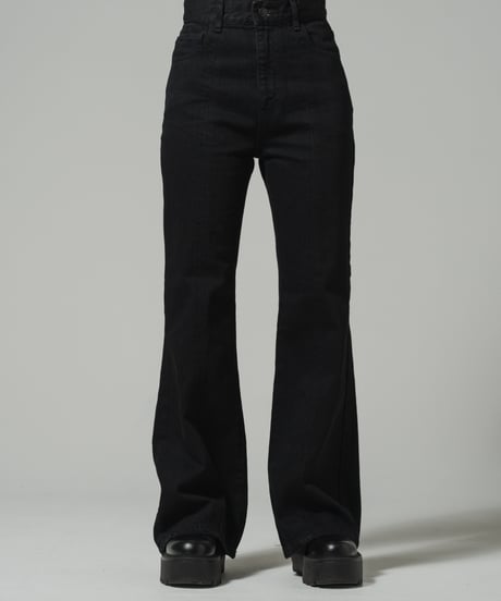 Center Seam Flare Denim Pants Ⅱ / BLACK / 24
