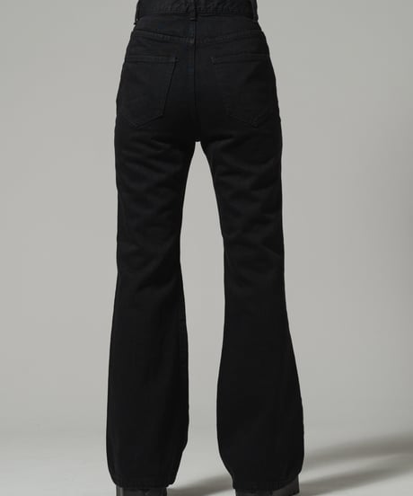 Center Seam Flare Denim Pants Ⅱ / BLACK / 24