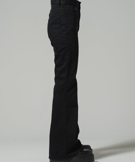 Center Seam Flare Denim Pants Ⅱ / BLACK / 24