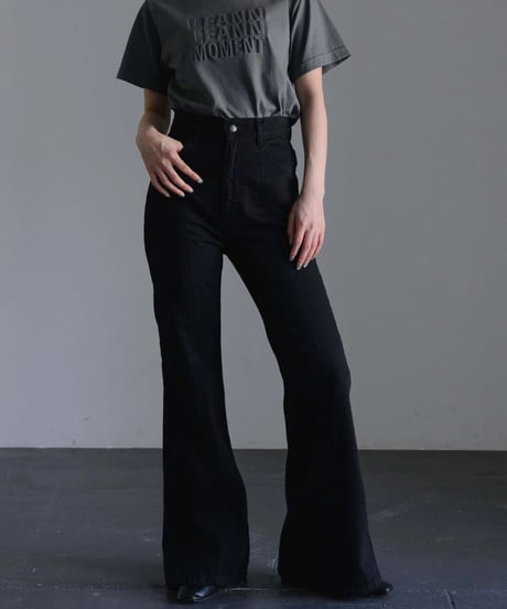 Center Seam Flare Denim Pants Ⅱ / BLACK / 24