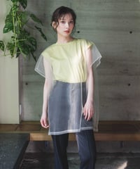 Mesh Layerd TEE / PISTACHIO / F