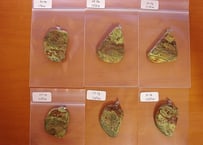 フランス産 燐銅ウラン鉱 Torbernite | ICONIC STORE