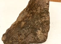 ラジウム鉱石 ピッチブレンド Amazon | 稀少 チェコ産 ピッチブレンド 原石 ラジウム鉱石