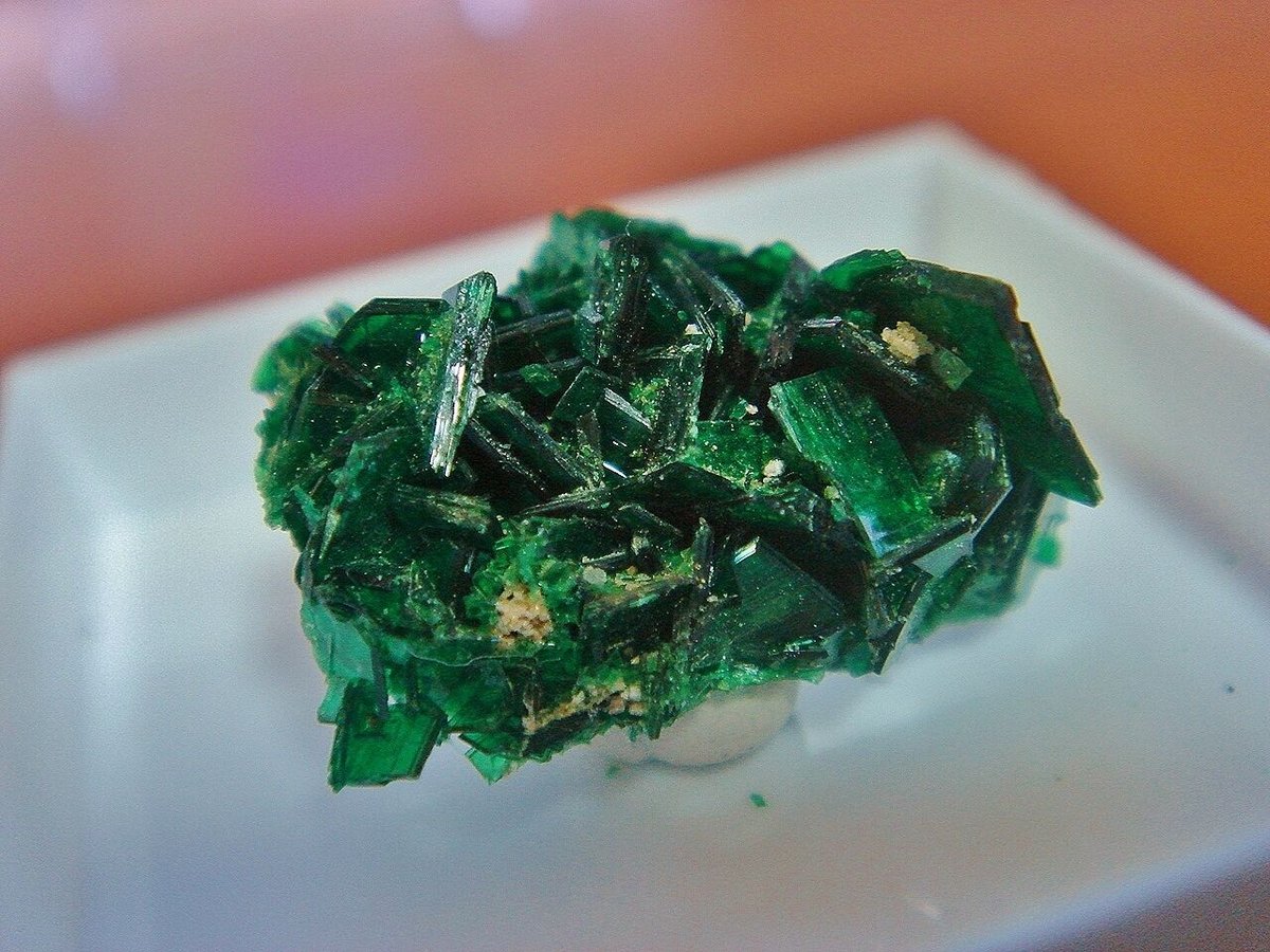 コンゴ産 燐銅ウラン鉱 Torbernite 結晶 | ICONIC STORE コンゴ産 燐銅ウラン鉱 Torbernite 結晶 | ICONIC STORE