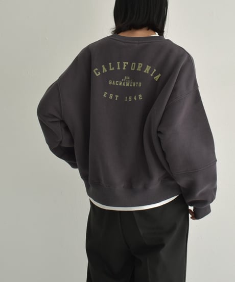 tops-02514　Brushed Back ROGO Sweatshirt Pullover Ecru Gray Charcoal