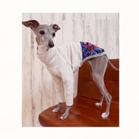 エキゾチックフラワーヘムロンT