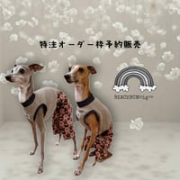 特注オーダー予約枠
