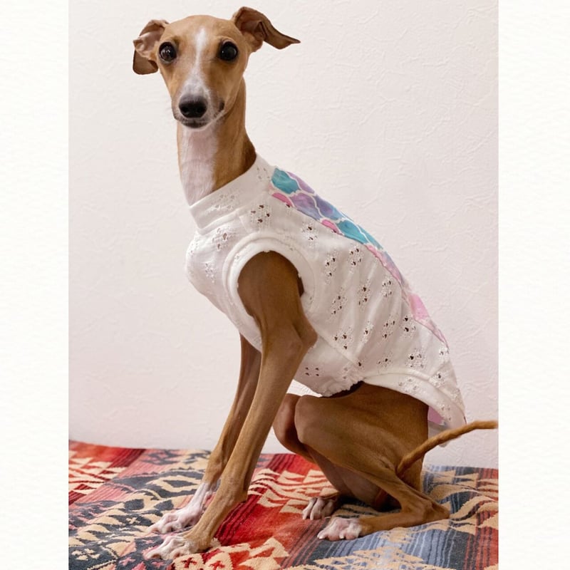 sea corabel☆レーシータンク | BEACHBUM¨̮IG™️ 