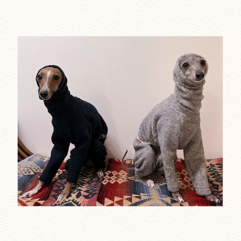 BEACHBUM¨̮ig BOA＊圧縮ボアロンパース＊ | BEACHBUM¨̮IG™️