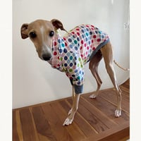 カラフルパターンドットフーディ