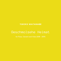 Geschmolzehe Heimat (2018 - 2019) for Flute, Clarinet in Bb and Viola