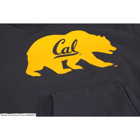 Champion MADE IN USA C5-W104 “REVERSE WEAVE HOODED SWEAT SHIRT”