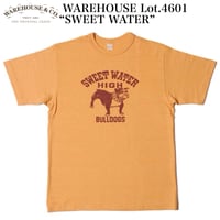 WAREHOUSE Lot.4601 “SWEET WATER”