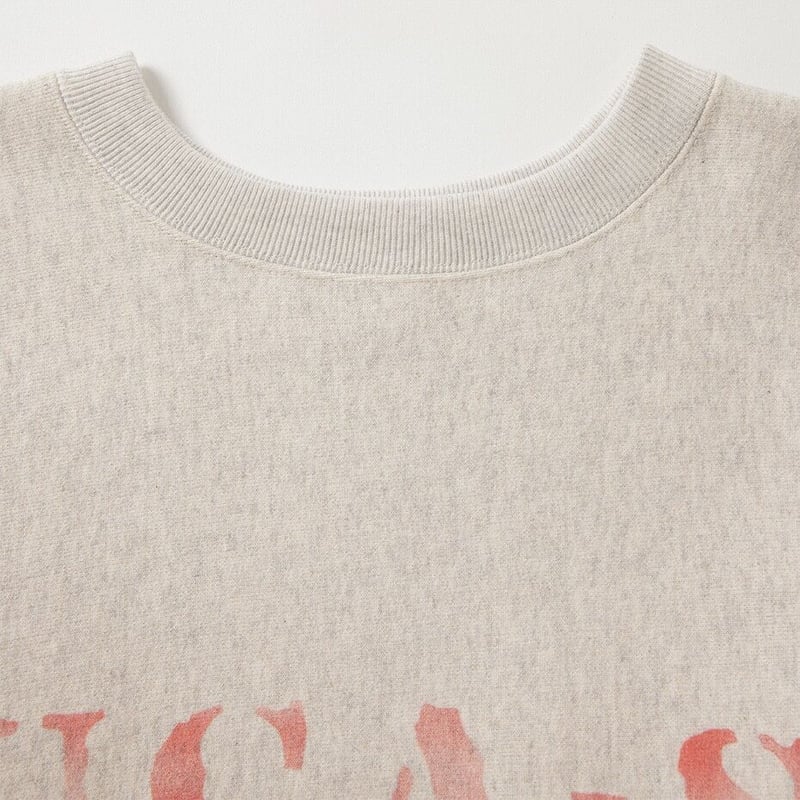 Champion TRUE TO ARCHIVES C3-Y019 “REVERSE WEAV Champion TRUE TO ARCHIVES C3-Y019 “REVERSE WEAV