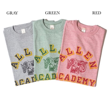 WAREHOUSE Lot.4096 88/12 HEATHER CREW NECK T-SHIRT “ALLEN”