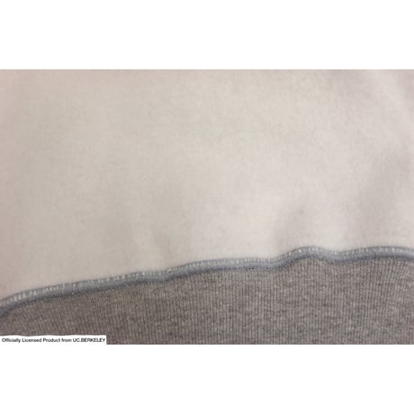 Champion MADE IN USA C5-W104 “REVERSE WEAVE HOODED SWEAT SHIRT”