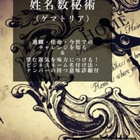 姓名数秘術 （ゲマトリア） 適職・使命・今世での チャレンジを知る ＆ 望む運気を味方につける！ ビジネスネーム名付け法・ ナンバーの持つ意味詳細付 実践スキル講座シリーズ