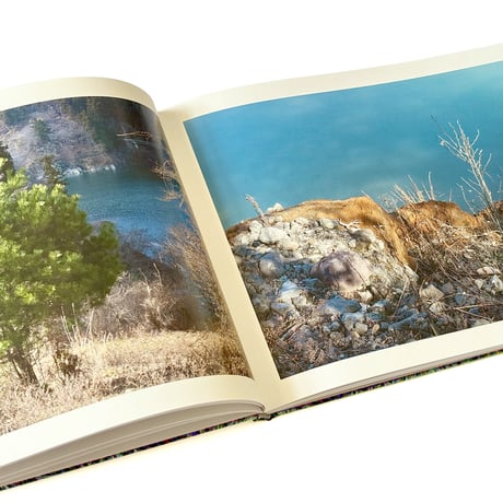 『Rheological Landscapes』寺崎珠真