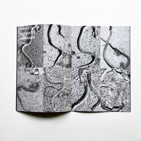 『KUSABINO (ZINE)』S.YOKOZAWA