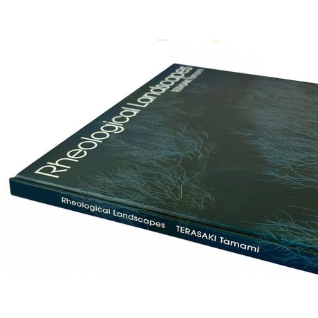 『Rheological Landscapes』寺崎珠真